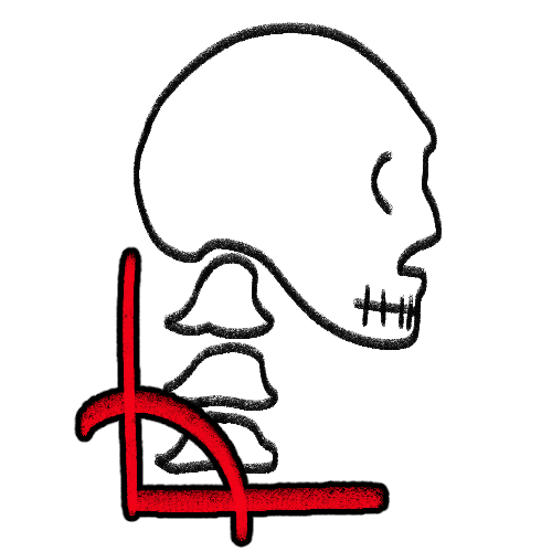 A simplified drawing of a skull with cervical vertebrae, and a red right angle sign behind/under the vertebrae.